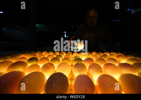 Ein Arbeitnehmer, der die Kontrollen der gesalzene Ente Eier unter den Lichtern bis das Doppelte - Eigelb Enteneier in Gaoyou Pick, Yangzhou Stadt, im Osten der Provinz Jiangsu, China Stockfoto