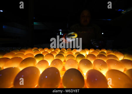 Ein Arbeitnehmer, der die Kontrollen der gesalzene Ente Eier unter den Lichtern bis das Doppelte - Eigelb Enteneier in Gaoyou Pick, Yangzhou Stadt, im Osten der Provinz Jiangsu, China Stockfoto