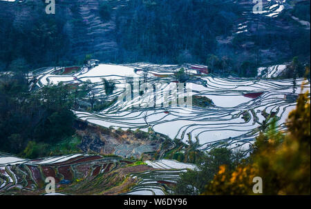 ------ Landschaft von terrassierten Reisfeldern Honghe der Hani Reisterrassen, einer von der UNESCO zum Weltkulturerbe erklärt, in Yuanyang County, Honghe der Hani Stockfoto