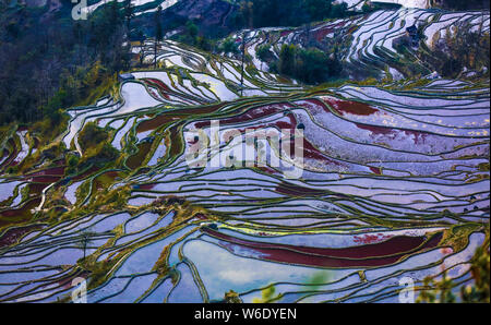 ------ Landschaft von terrassierten Reisfeldern Honghe der Hani Reisterrassen, einer von der UNESCO zum Weltkulturerbe erklärt, in Yuanyang County, Honghe der Hani Stockfoto