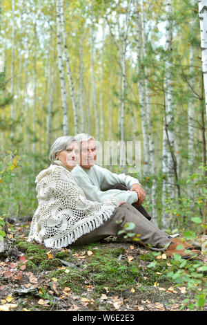 Porträt der Schönen senior Paar im Herbst Park Stockfoto
