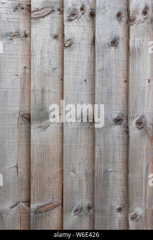 Eine Nahaufnahme von holzbohlen mit Knoten in den Wald Stockfoto