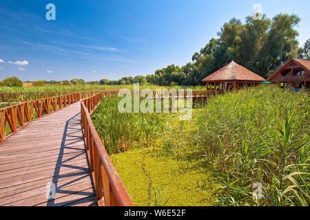 Sümpfe Naturpark Kopacki Rit Holzsteg, der Baranja Region von Kroatien Stockfoto