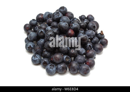 Frische Heidelbeeren isoliert auf weißem Hintergrund Stockfoto