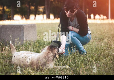 Einsamen obdachlosen Hund im Freien mit Mädchen Stockfoto