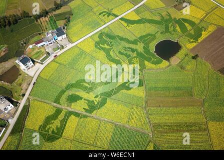 Luftaufnahme von Cole Blumen Formen ' zwei Drachen Scherzen mit einem pearla' in einem Feld in der Grafschaft Xiuning, Beijing, der ostchinesischen Provinz Anhui, Stockfoto