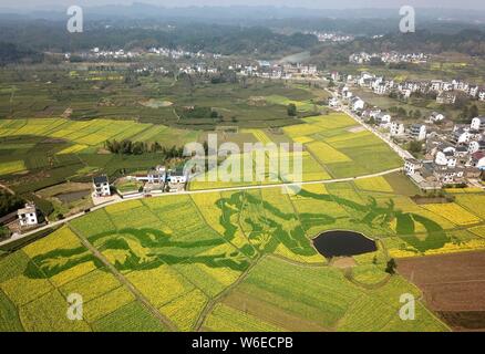 Luftaufnahme von Cole Blumen Formen ' zwei Drachen Scherzen mit einem pearla' in einem Feld in der Grafschaft Xiuning, Beijing, der ostchinesischen Provinz Anhui, Stockfoto