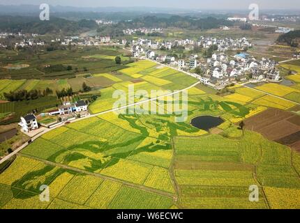 Luftaufnahme von Cole Blumen Formen ' zwei Drachen Scherzen mit einem pearla' in einem Feld in der Grafschaft Xiuning, Beijing, der ostchinesischen Provinz Anhui, Stockfoto