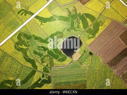 Luftaufnahme von Cole Blumen Formen ' zwei Drachen Scherzen mit einem pearla' in einem Feld in der Grafschaft Xiuning, Beijing, der ostchinesischen Provinz Anhui, Stockfoto