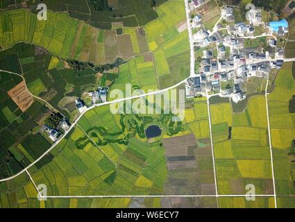 Luftaufnahme von Cole Blumen Formen ' zwei Drachen Scherzen mit einem pearla' in einem Feld in der Grafschaft Xiuning, Beijing, der ostchinesischen Provinz Anhui, Stockfoto