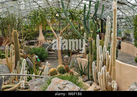 INVERNESS SCHOTTLAND DIE BOTANISCHEN GÄRTEN Wintergarten oder Gewächshaus und enthält eine Sammlung von Kakteen Stockfoto