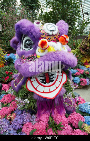 Chinesische Löwe umgeben von Hortensien Stockfoto