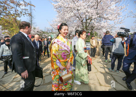 Japans 27 Cherry Blossom Queen abgebildet ist während der Cherry Blossom Festival in der Turtle Head Park in Wuxi City, der ostchinesischen Provinz Jiangsu, Stockfoto