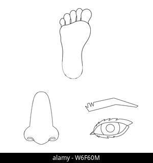 Isoliertes Objekt von Körper und Teil anmelden. Sammlung von Körper und Anatomie lieferbar Symbol für das Web. Stock Vektor