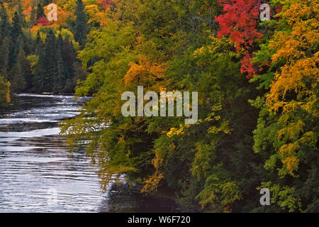 Lebendige Farben des Herbstes entlang den Ufern des Flusses, wie es durch Tahquemenon Tahquemenon State Park in Michigan's Upper Peninsula fließt. Stockfoto