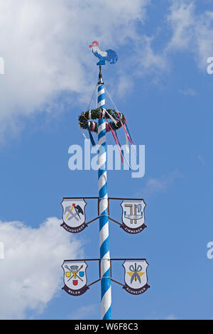 Maibaum, Deggendorf, Bayerischer Wald, Niederbayern, Deutschland Stockfoto