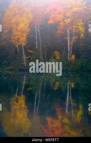 Morgennebel Aufzüge enthüllt den Herbst Reflexion der Hiawatha National Forest im Fish See und mit Birken in Michigan's Upper Peninsula. Stockfoto