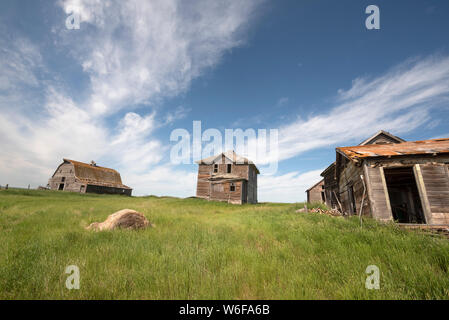 Verlassenen Bauernhaus auf der offenen Wiese im südlichen Saskatchewan. Stockfoto