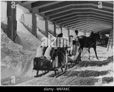 Österreich. Der Marshall Plan hat viele Projekte wie Straßen, Liftanlagen, Hotels. der Europäischen reisen, um die Lautstärke zu erhöhen. Hier Wintersportler fahren Sie mit dem Pferdeschlitten entlang der Flexen Autobahn in Österreich, der berühmten Mountain Resort von Lech zu erreichen. In diesem Teil der Straße ist geschützt durch eine Lawine der Tunnel finanziert aus dem Marshall Plan, die erlaubt, die Straße eine kurze Zeit geöffnet, nachdem die schweren Lawinen von Winter 1951 gestoppt hatte, Stockfoto