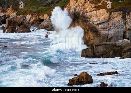 Frühling Sonnenaufgang über der kalifornischen Monterey Bay auf der Monterey Halbinsel mit blühenden Stolz von Madera. Stockfoto