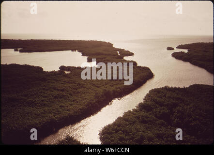 BLACK CREEK KANAL und Biscayne Bay. Stockfoto