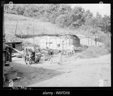 Im Hinterhof des Hauses von Butler Phillips, Bergmann, wer in der Firma Wohnprojekt lebt. Adams, Rowe & Norman Inc., Porter Mine, Adamsville, Jefferson County, Alabama. Stockfoto