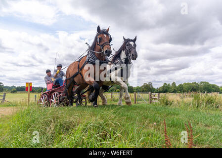 Schwere Pferde mit Treibern auf einem Warenkorb konkurrieren in einem Hindernis Kurs während einer Britischen Heavy Horse Fahrversuchen Club (BHHDTC) Veranstaltung in Großbritannien Stockfoto