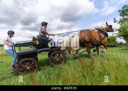 Schwere Pferde mit Treibern auf einem Warenkorb konkurrieren in einem Hindernis Kurs während einer Britischen Heavy Horse Fahrversuchen Club (BHHDTC) Veranstaltung in Großbritannien Stockfoto