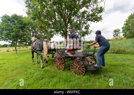 Schwere Pferde mit Treibern auf einem Warenkorb konkurrieren in einem Hindernis Kurs während einer Britischen Heavy Horse Fahrversuchen Club (BHHDTC) Veranstaltung in Großbritannien Stockfoto