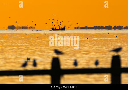 Fischerboot auf See nach Hause kommen mit Vögel, Overhead, da die Sonne im Herbst in West Sussex, England, UK. Stockfoto
