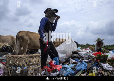 Lhokseumawe, Aceh, Indonesien. 1 Aug, 2019. Radikalfänger Abholung verwendete Kunststoff auf Deponien in Lhokseumawe, Aceh, Indonesien. Daten aus dem Worldwide Fund for Nature (WWF), die etwa 300 Millionen Tonnen Kunststoff jedes Jahr produziert werden, von denen die meisten am Ende in Deponien und das Meer, das Meer. In der Tat, das hat eine internationale Krise geworden, die auch heute noch wachsen. Credit: zikri Maulana/SOPA Images/ZUMA Draht/Alamy leben Nachrichten Stockfoto