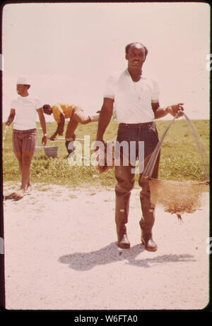 CRAYFISHERMEN an der River Road, zwischen NEW ORLEANS UND BATON ROUGE Stockfoto