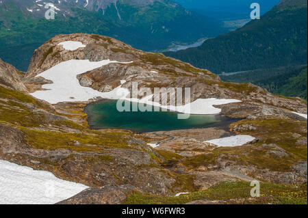 Ein namenloses Kessel Teich im Kenai Fjords National Park an einem sonnigen Sommertag; Alaska, Vereinigte Staaten von Amerika Stockfoto