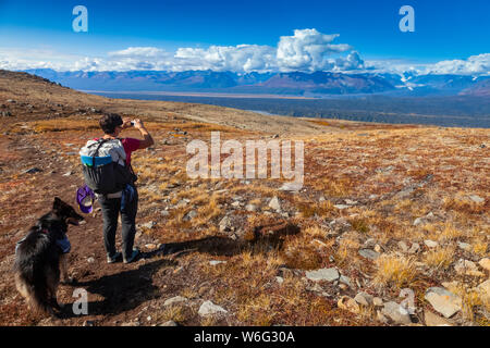 Eine Backpacker-Frau und ihr Hund machen beim Wandern auf dem Kesugi Ridge Trail im Denali State Park, Alaska, eine Pause, um ein Foto der Alaska Range zu machen... Stockfoto