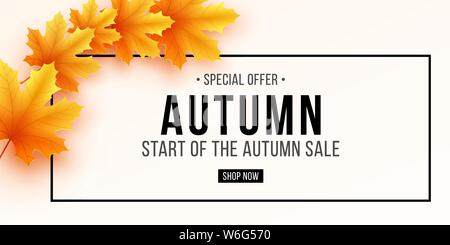 Herbst Sale. Einladung Karte. Banner mit Schriftzug. Schwarzer Text in Rahmen. Saisonale Plakat mit Herbstlaub auf einem weißen Hintergrund. Maple Leaf. Jahreszeit Stock Vektor