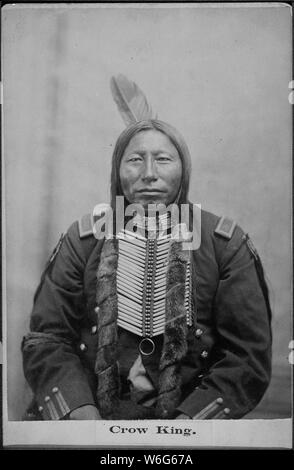 Krähe König. Mit Gaul, ein kämpfender Häuptling der Sioux im Custer Kampf [Aus L. D. Greene Album]. Stockfoto