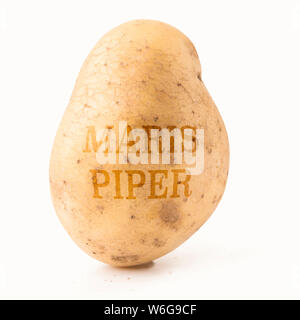 Single Maris Piper Kartoffel auf Weiß mit Text Overlay. Stockfoto