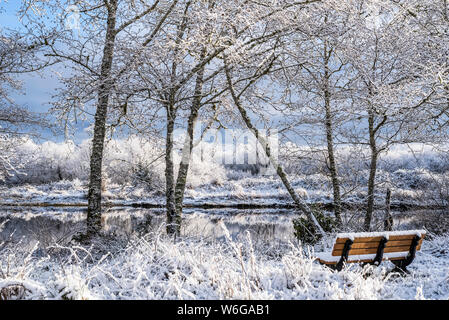 Ein zartes Staubwischen von Schnee verweilt an einem Wintermorgen mit einer Bank mit Blick auf das ruhige Wasser; Astoria, Oregon, Vereinigte Staaten von Amerika Stockfoto