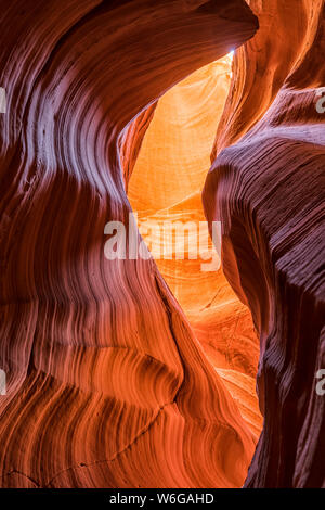 Antelope Canyon, ein Slot Canyon von Navajo Sandstein; Page, Arizona, Vereinigte Staaten von Amerika Stockfoto