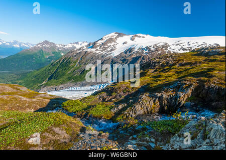 Ein kleiner Bach im Kenai Fjords National Park mit Ausgang Gletscher im Hintergrund an einem sonnigen Sommertag in Süd-Zentral Alaska Stockfoto