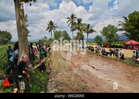 Padang, Indonesien - 30. Jun 2016. Festival Aufwachraum Jawi (die Bull Racing) im Dorf in der Nähe von Padang, Indonesien Stockfoto