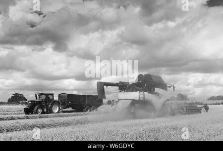 Moderne Maschinen Ernten ein Feld von Hafer auf einem hellen sonnigen Morgen im Sommer am 10. August 2018 in Beverley, Yorkshire, Großbritannien. Stockfoto