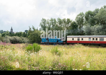 Bo'Ness und Kinneil Heritage Railway - Caledonian Railway 439 Klasse 419 durch das Kinneil Nature Reserve, Bo'Ness, Schottland, Großbritannien Stockfoto