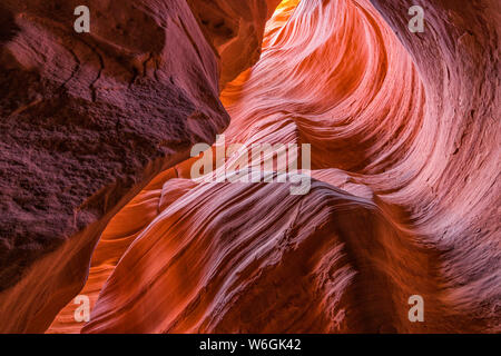 Slot Canyon bekannt als Canyon X, in der Nähe von Page, Arizona, Vereinigte Staaten von Amerika Stockfoto
