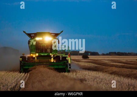 Ein Mähdrescher mit seinen Lichtern auf der Canola-raps nach Sonnenuntergang; Rechtliche, Alberta, Kanada Stockfoto