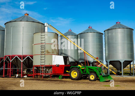 Silos im Hintergrund mit einem Traktor und Förderschnecke für das Laden einer Korn-Trockner in den Vordergrund der Hof; Rechtliche, Alberta, Kanada Stockfoto