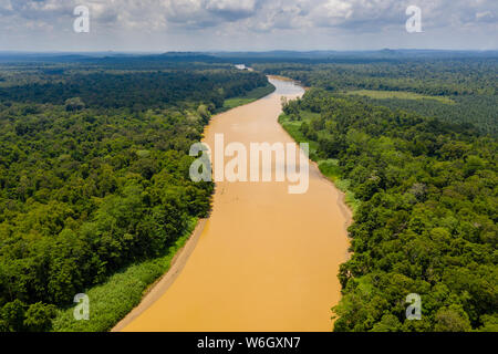 Antenne drone Ansicht eines langen, braunen Windungen des Flusses durch den tropischen Regenwald (kinabatangan Fluss, Borneo) Stockfoto