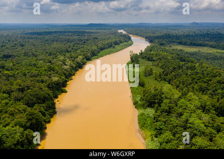 Antenne drone Ansicht eines langen, braunen Windungen des Flusses durch den tropischen Regenwald (kinabatangan Fluss, Borneo) Stockfoto