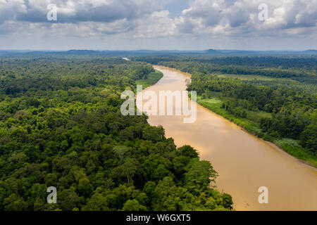 Antenne drone Ansicht eines langen, braunen Windungen des Flusses durch den tropischen Regenwald (kinabatangan Fluss, Borneo) Stockfoto