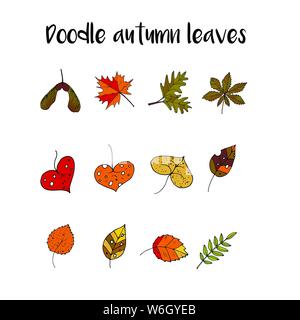 Handdrawn einzigartige Herbst Blätter Symbole. Vektor doodle Illustrationen. Perfekt für Logos, Herbst Karten, Bekleidung Design. . Stock Vektor